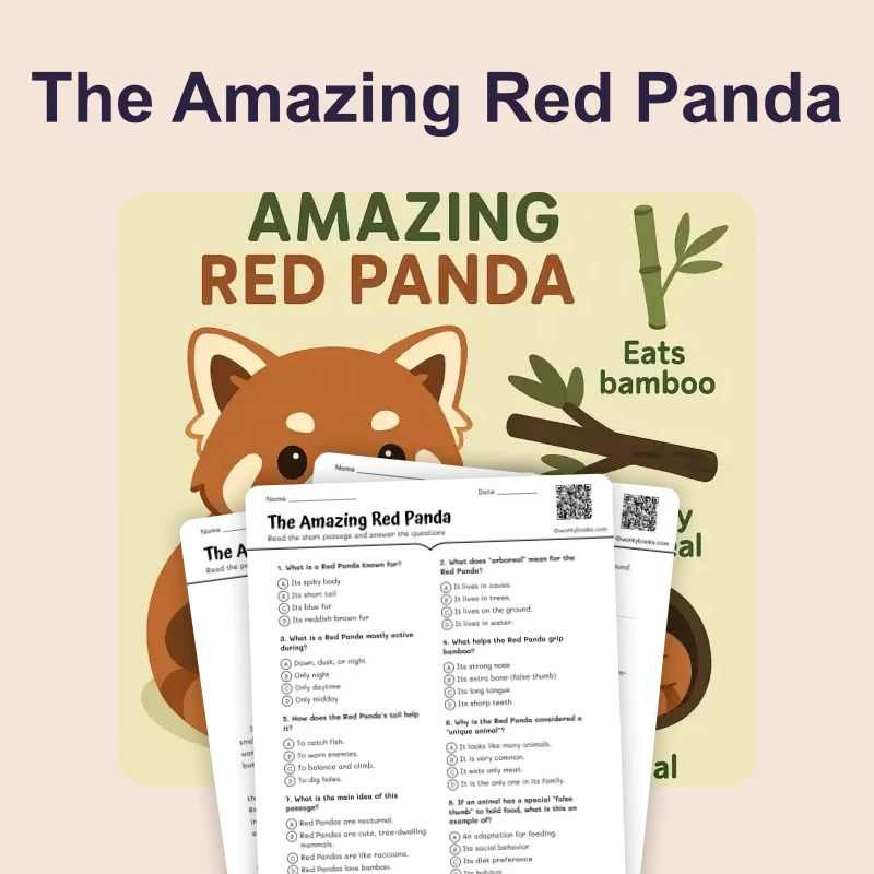 The Amazing Red Panda — ela — reading comprehension for Grade 3, Grade 4, Grade 5, Grade 6, Grade 7, Grade 8, page 1 of 4