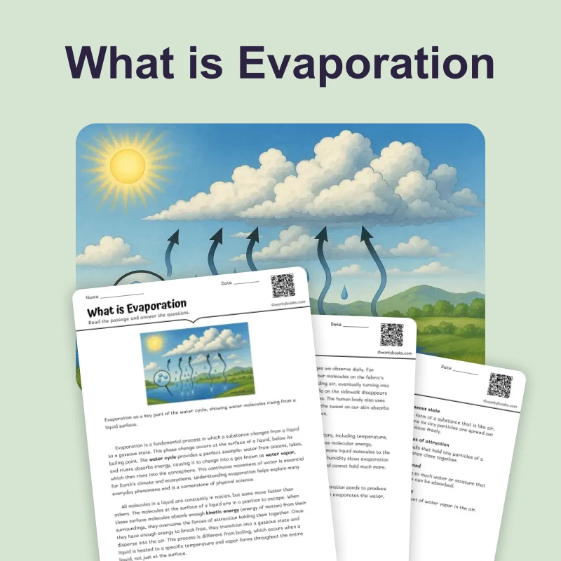 What is Evaporation — ela — reading comprehension for Grade 3, Grade 4, Grade 5, Grade 6, Grade 7, Grade 8, page 1 of 4