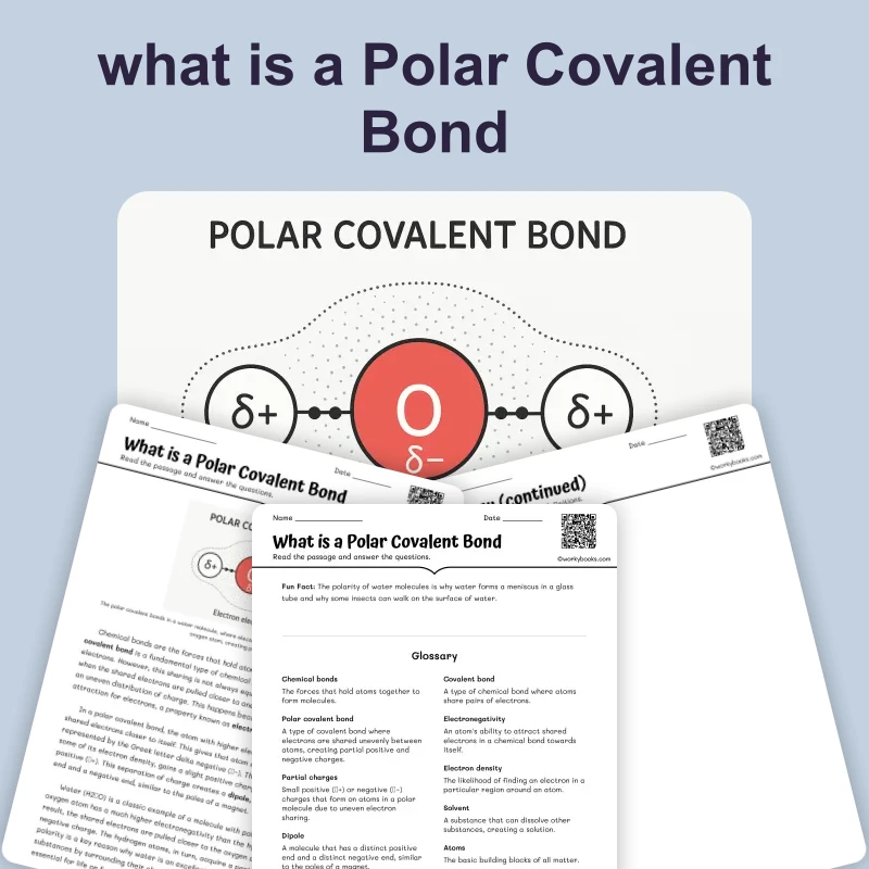 what is a Polar Covalent Bond — ela — reading comprehension for Grade 3, Grade 4, Grade 5, Grade 6, Grade 7, Grade 8, page 1 of 4