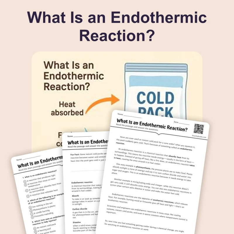 What Is an Endothermic Reaction — ela — reading comprehension for Grade 5, Grade 6, Grade 7, Grade 8, page 1 of 4