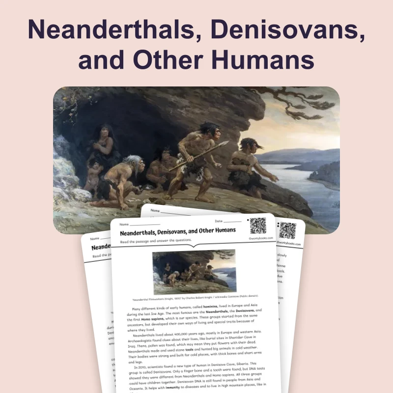 Neanderthals and Denisovans — reading — reading comprehension for Grade 6, Grade 7, Grade 8, page 1 of 4