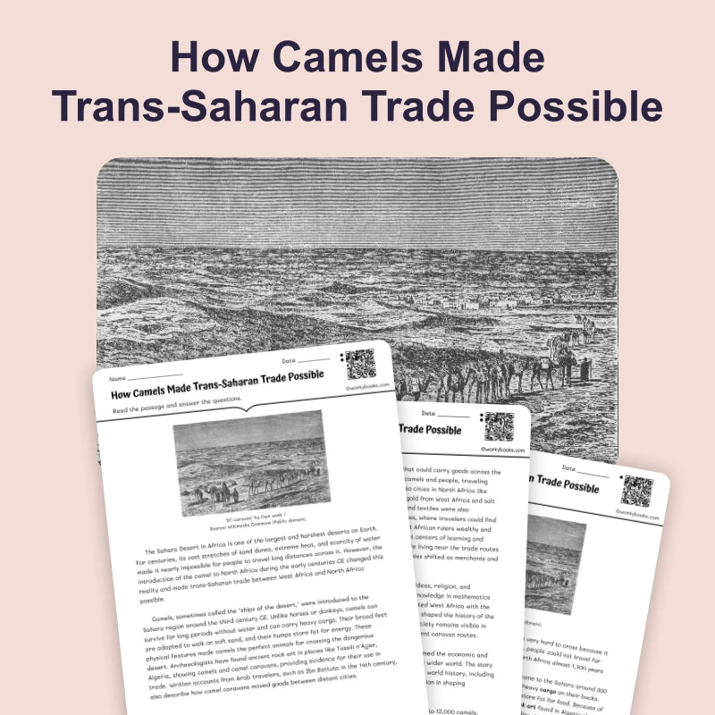 How Camels Made Trans-Saharan Trade Possible — reading — reading comprehension for Grade 5, Grade 6, Grade 7, Grade 8, page 1 of 4