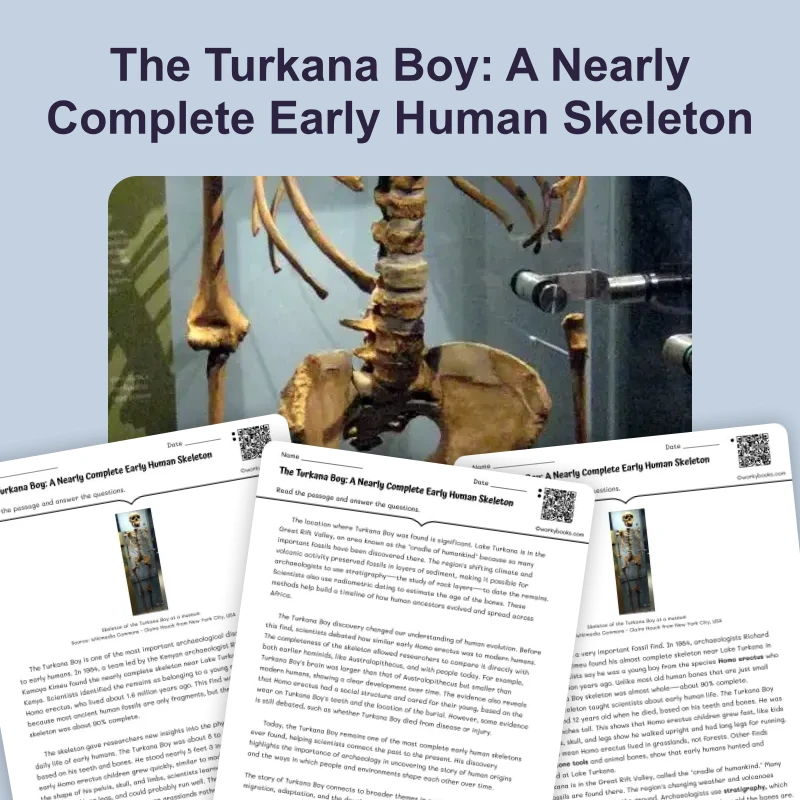 The Turkana Boy: A Nearly Complete Early Human Skeleton — reading — reading comprehension for Grade 5, Grade 6, Grade 7, Grade 8, page 1 of 4