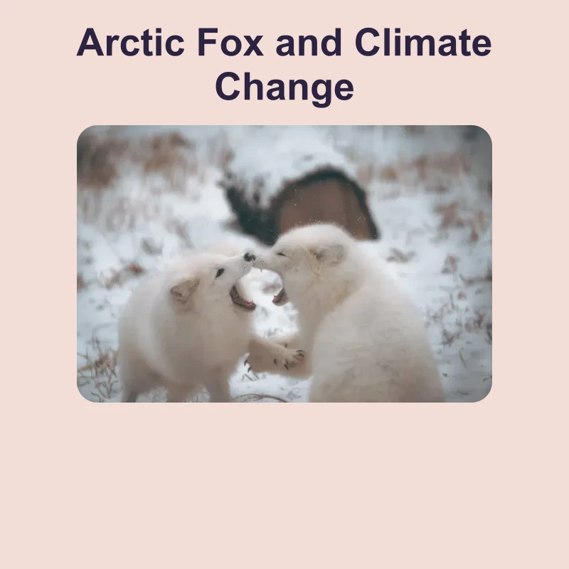 Arctic Fox and Climate Change — science — reading comprehension for Grade 5, Grade 6, Grade 7, Grade 8, page 1 of 1