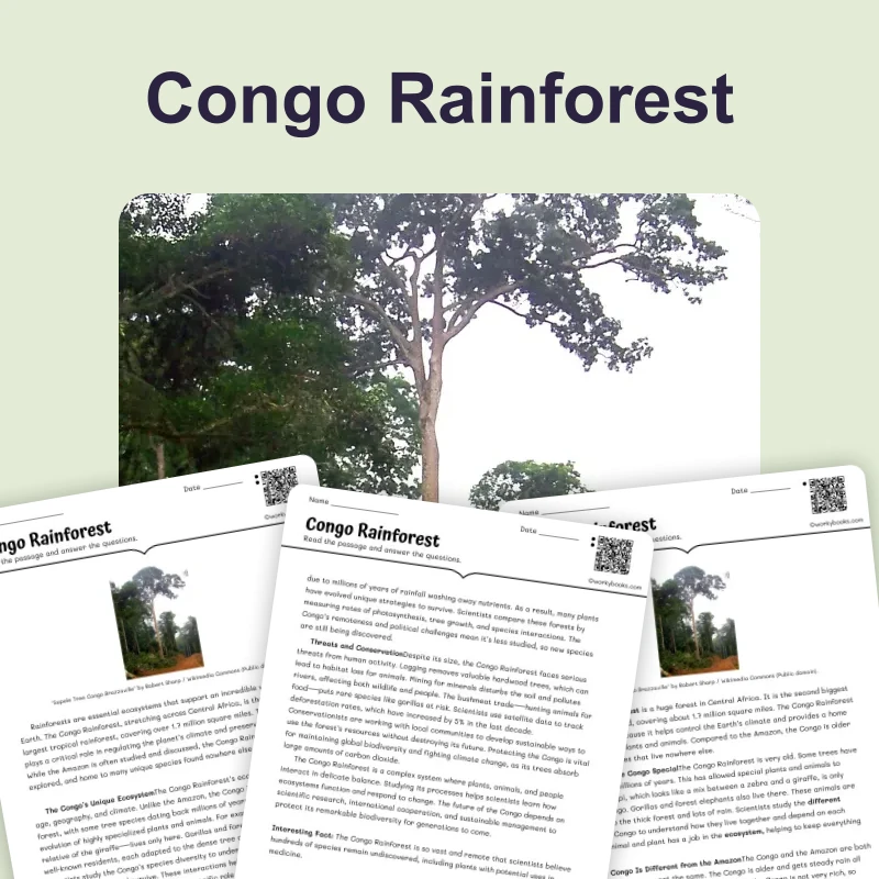 The Congo Rainforest — science — reading comprehension for Grade 5, Grade 6, Grade 7, Grade 8, page 1 of 4