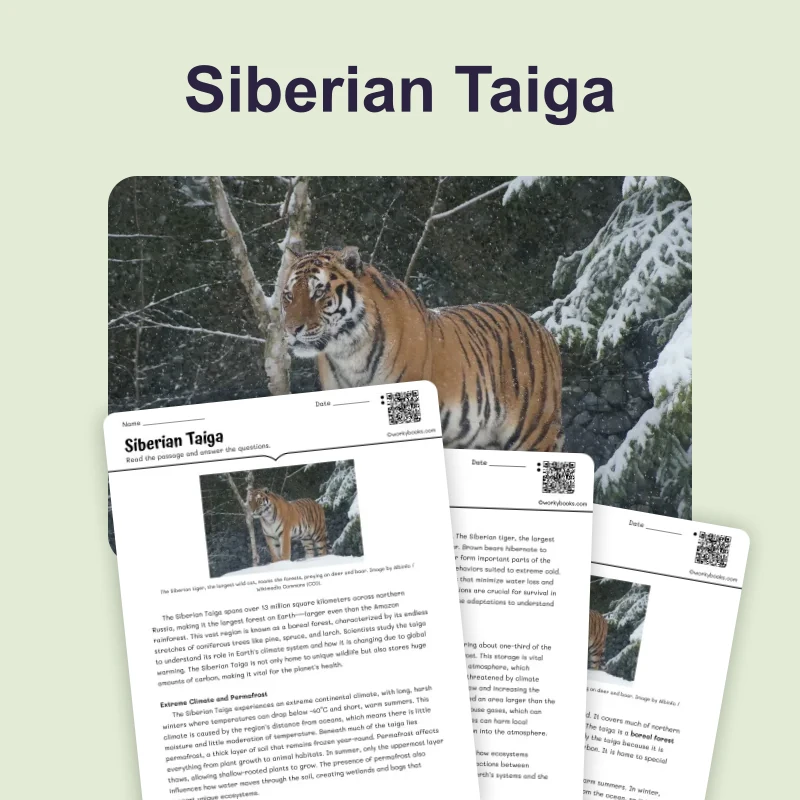 The Siberian Taiga — science — reading comprehension for Grade 5, Grade 6, Grade 7, Grade 8, page 1 of 4