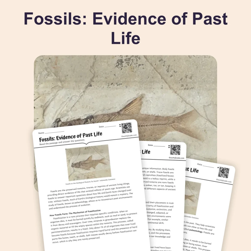 Fossils: Evidence of Past Life — science — reading comprehension for Grade 5, Grade 6, Grade 7, Grade 8, page 1 of 4