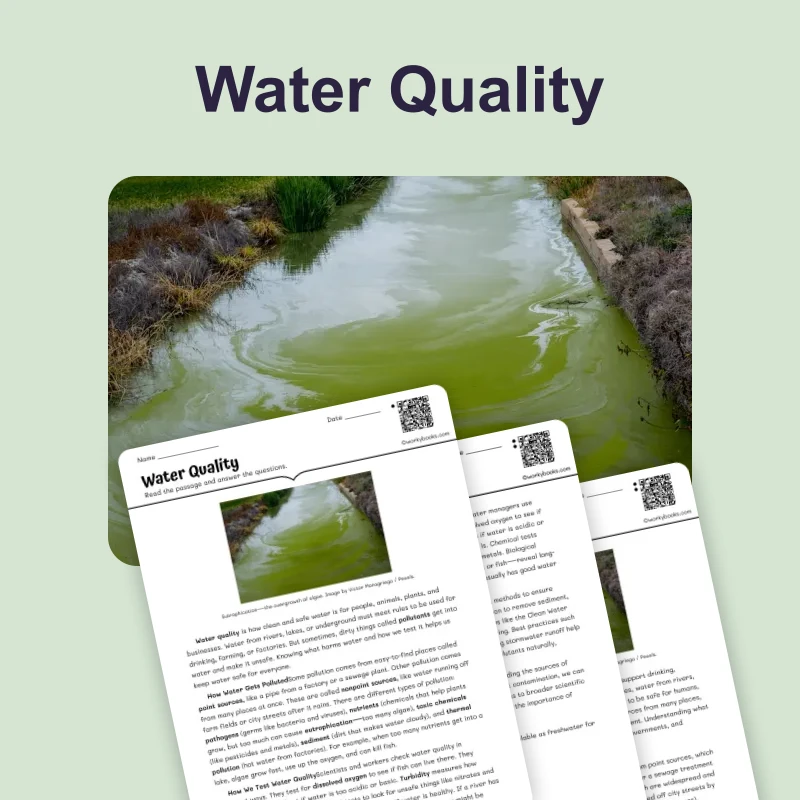 Water Quality — science — reading comprehension for Grade 5, Grade 6, Grade 7, Grade 8, page 1 of 4