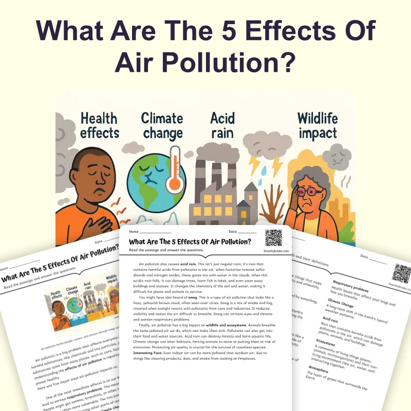 What Are The 5 Effects Of Air Pollution? — science — reading comprehension for Grade 6, page 1 of 4