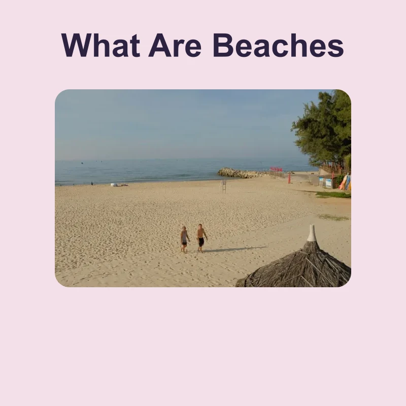 What Are Beaches — science — reading comprehension for Grade 5, Grade 6, Grade 7, Grade 8, page 1 of 1