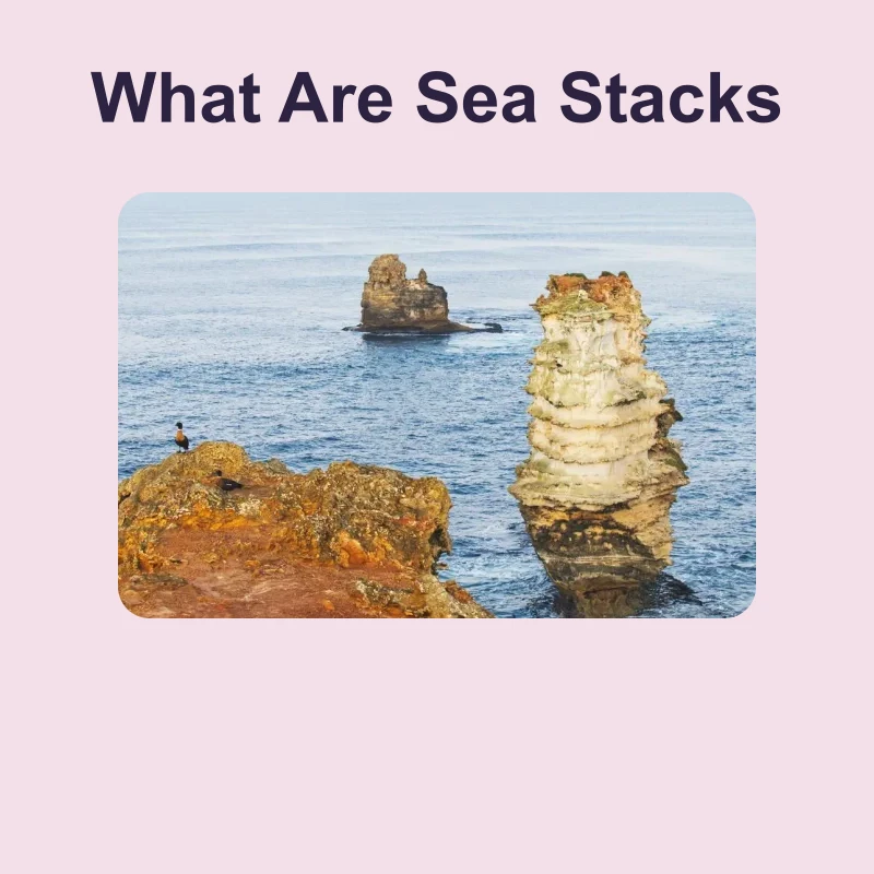 What Are Sea Stacks — science — reading comprehension for Grade 5, Grade 6, Grade 7, Grade 8, page 1 of 1