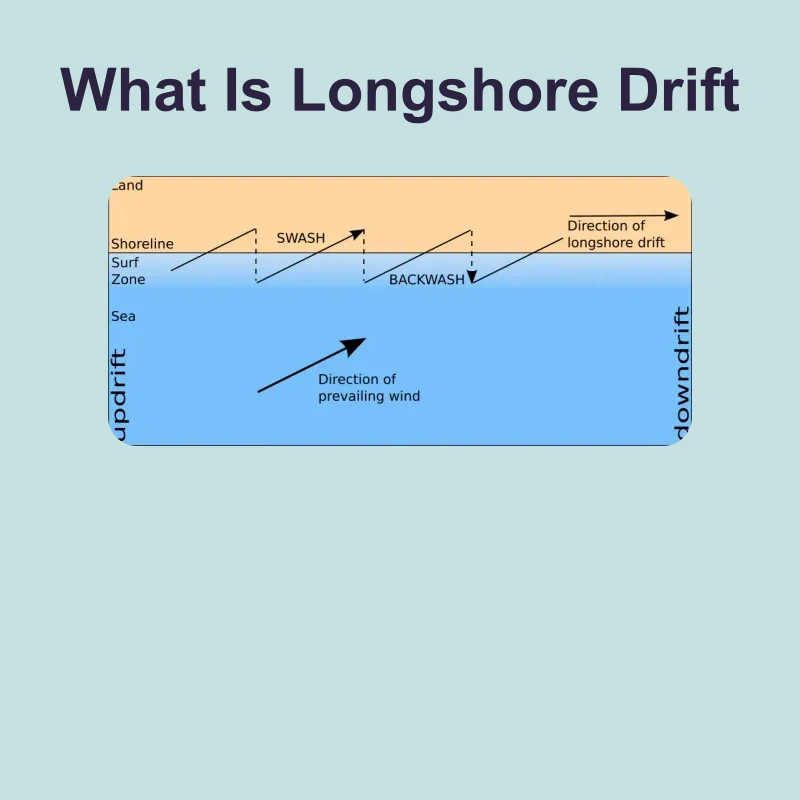 What Is Longshore Drift — science — reading comprehension for Grade 5, Grade 6, Grade 7, Grade 8, page 1 of 1