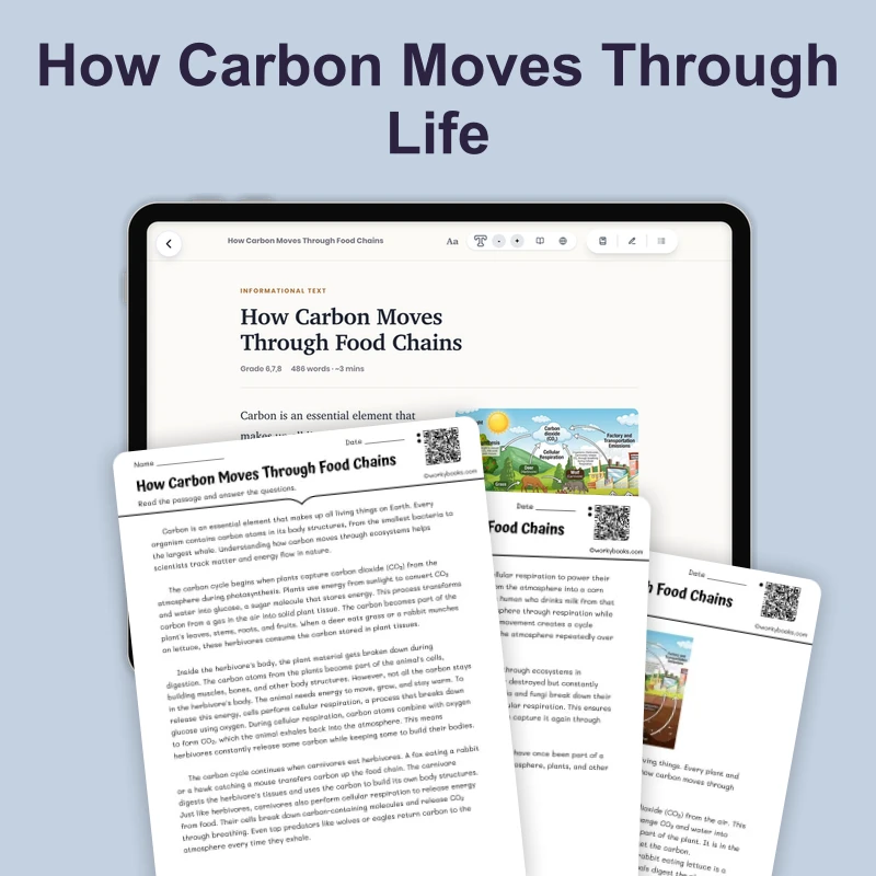 How Carbon Moves Through Food Chains — science — reading comprehension for Grade 6, Grade 7, Grade 8, page 1 of 4