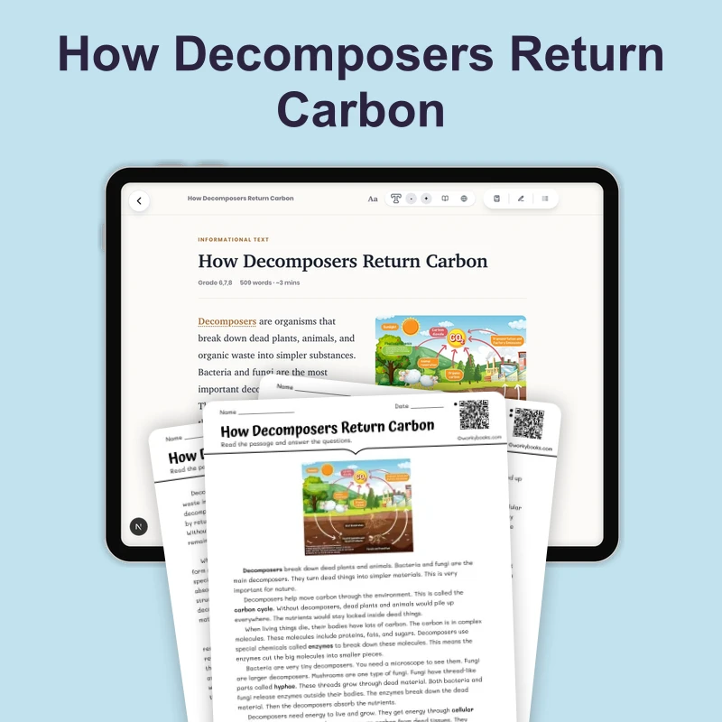How Decomposers Return Carbon to the Soil — science — reading comprehension for Grade 6, Grade 7, Grade 8, page 1 of 4