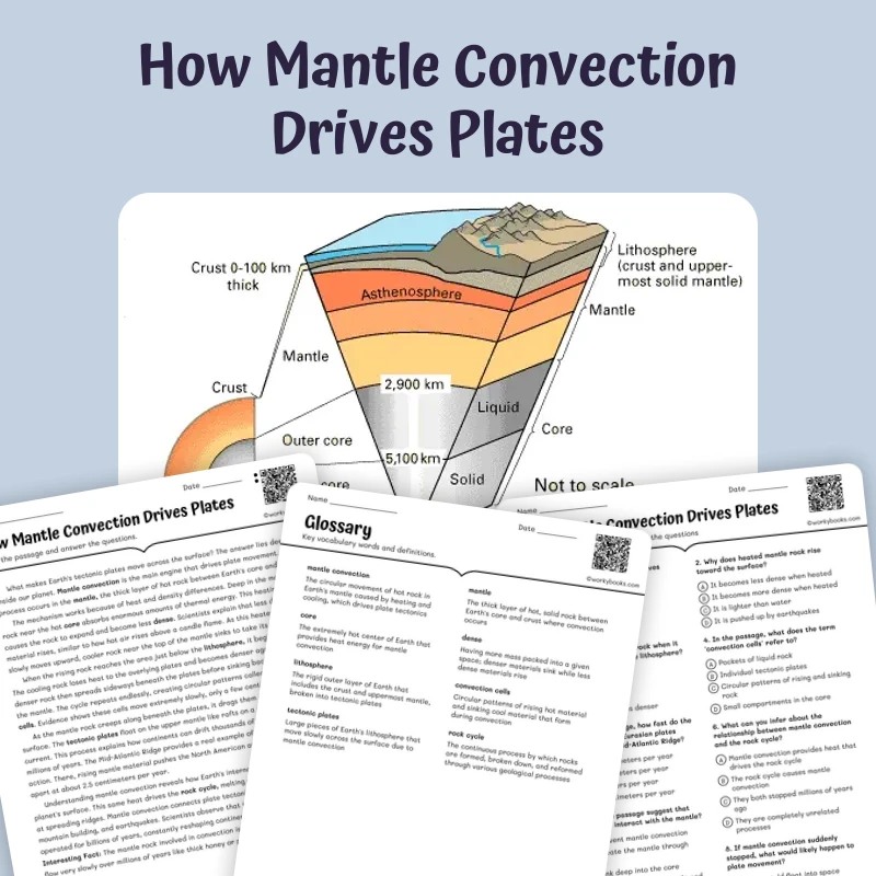 How Mantle Convection Drives Plates — science — reading comprehension for Grade 5, Grade 6, Grade 7, Grade 8, page 1 of 1