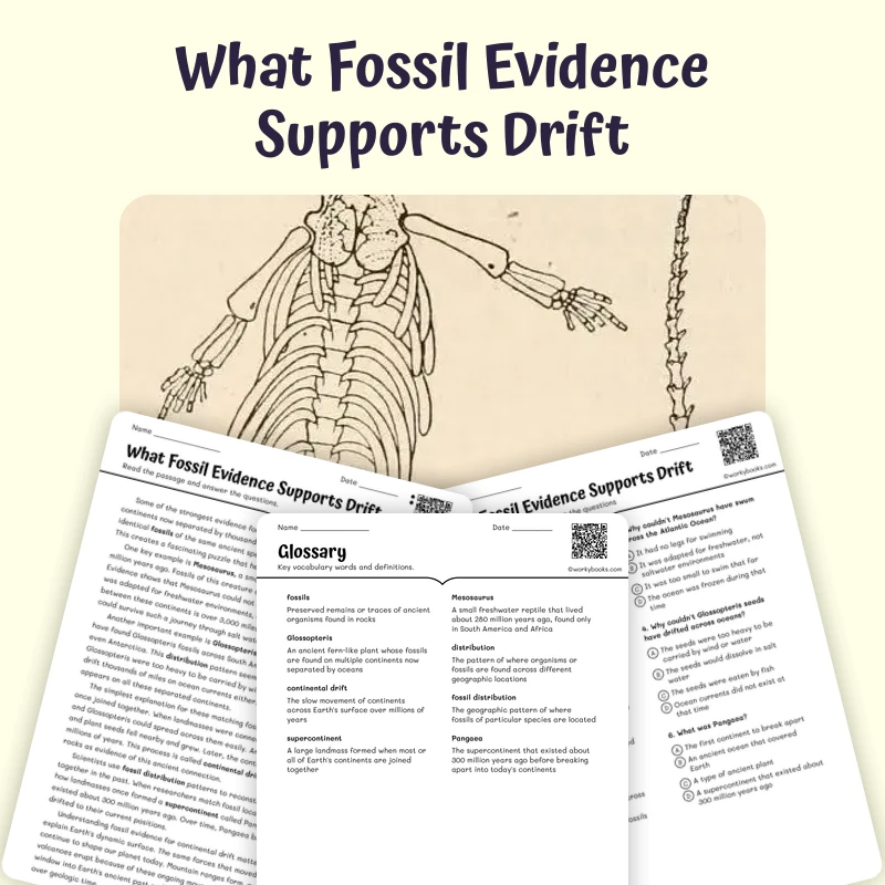 What Fossil Evidence Supports Drift — science — reading comprehension for Grade 5, Grade 6, Grade 7, Grade 8, page 1 of 1