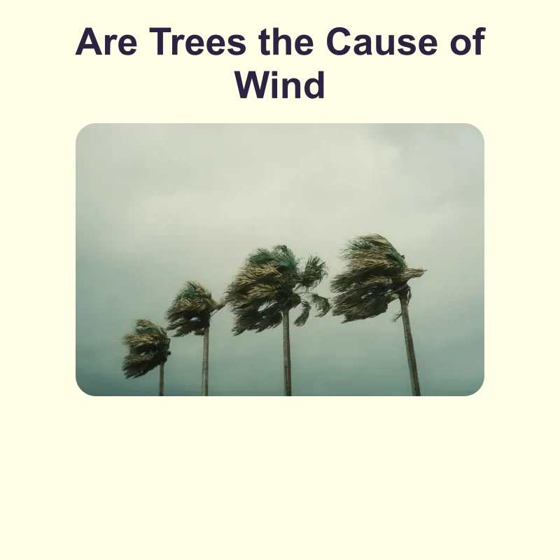 Do Trees Cause Wind — science — reading comprehension for Grade 5, Grade 6, Grade 7, Grade 8, page 1 of null
