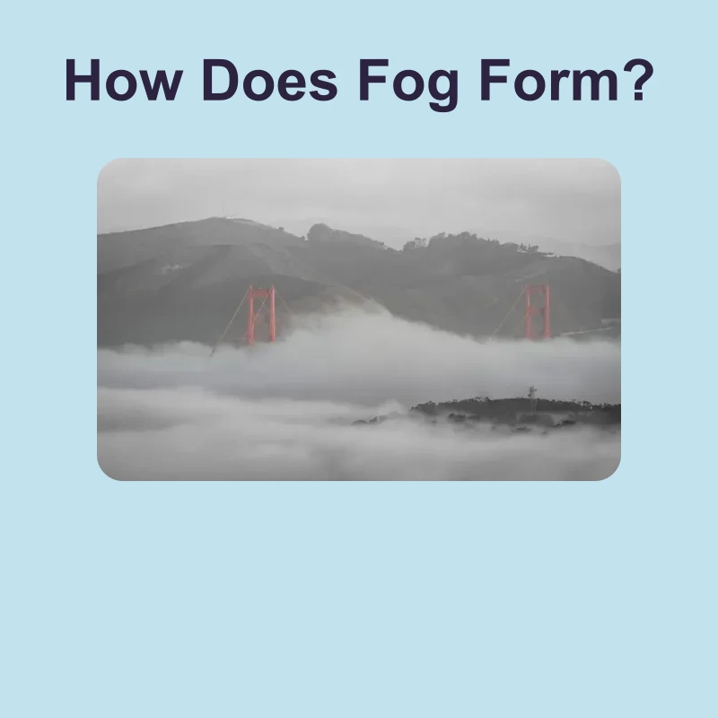 How Fog Forms — science — reading comprehension for Grade 5, Grade 6, Grade 7, Grade 8, page 1 of 1