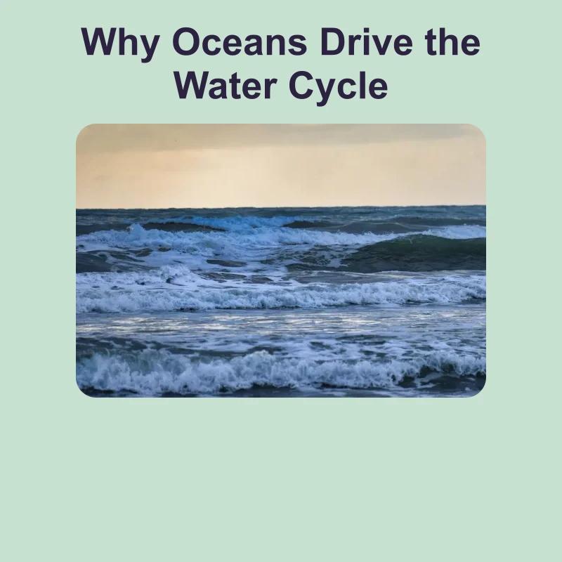 Why Oceans Drive the Water Cycle — science — reading comprehension for Grade 5, Grade 6, Grade 7, Grade 8, page 1 of 1