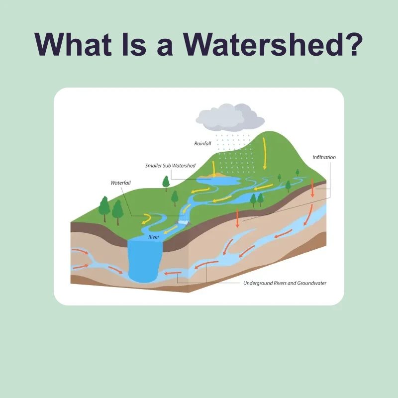 What Is a Watershed — science — reading comprehension for Grade 5, Grade 6, Grade 7, Grade 8, page 1 of 1