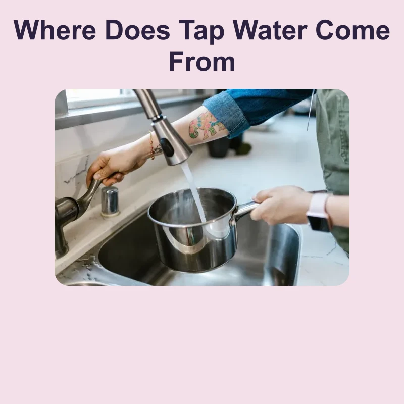 Where Does Tap Water Come From — science — reading comprehension for Grade 5, Grade 6, Grade 7, Grade 8, page 1 of 1