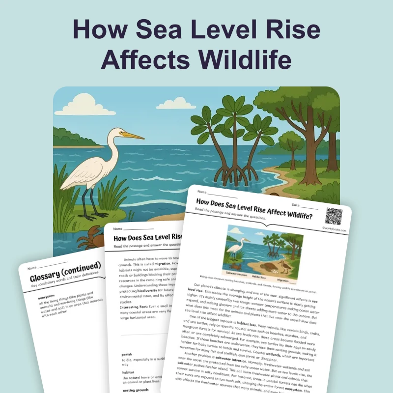 How Sea Level Rise Affects Wildlife — science — reading comprehension for Grade 5, Grade 6, Grade 7, Grade 8, page 1 of 4