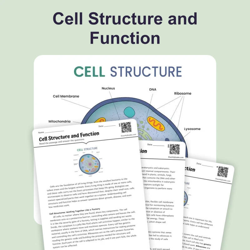 Cell Structure and Function — science — reading comprehension for Grade 5, Grade 6, Grade 7, Grade 8, page 1 of 4