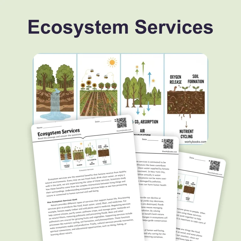 Ecosystem Services — science — reading comprehension for Grade 5, Grade 6, Grade 7, Grade 8, page 1 of 4