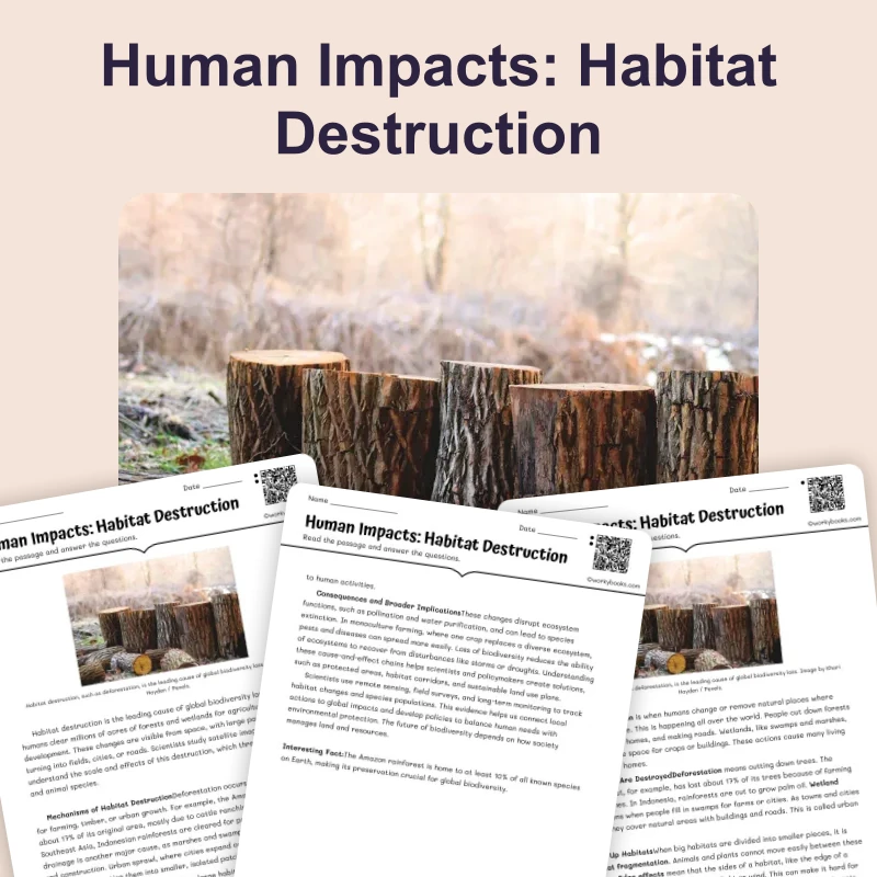 Human Impacts: Habitat Destruction — science — reading comprehension for Grade 5, Grade 6, Grade 7, Grade 8, page 1 of 4