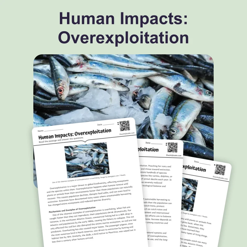 Human Impacts: Overexploitation — science — reading comprehension for Grade 5, Grade 6, Grade 7, Grade 8, page 1 of 4