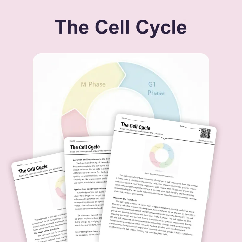 The Cell Cycle — science — reading comprehension for Grade 5, Grade 6, Grade 7, Grade 8, page 1 of 4