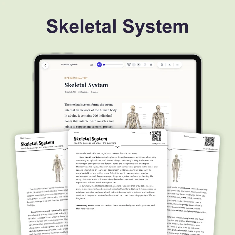 Skeletal System — science — reading comprehension for Grade 5, Grade 6, Grade 7, Grade 8, page 1 of 4