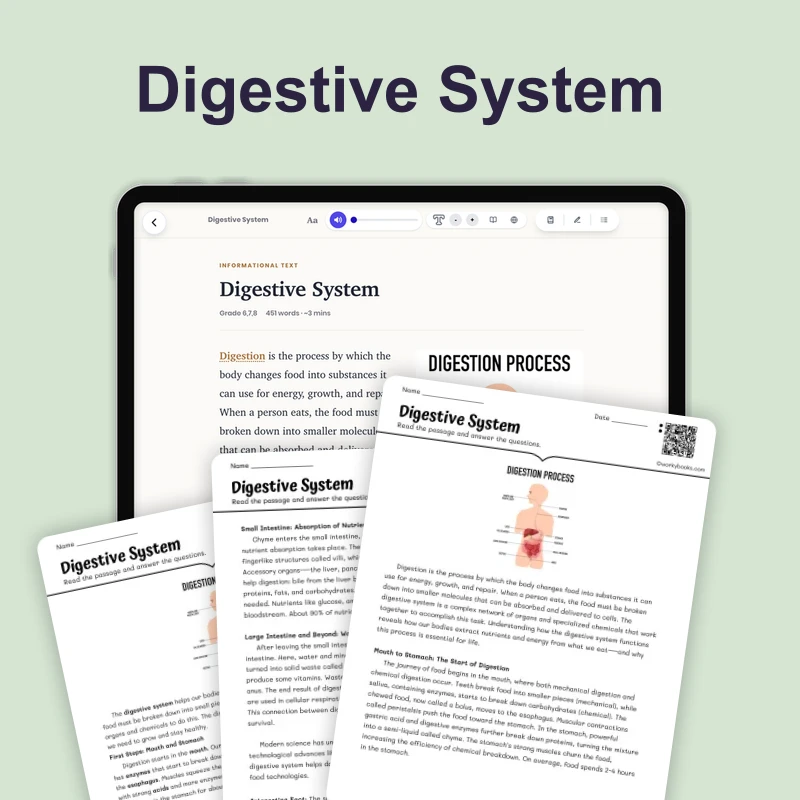 Digestive System — science — reading comprehension for Grade 5, Grade 6, Grade 7, Grade 8, page 1 of 4