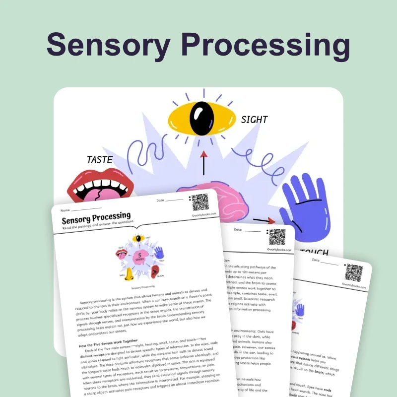 Sensory Processing — science — reading comprehension for Grade 5, Grade 6, Grade 7, Grade 8, page 1 of 4
