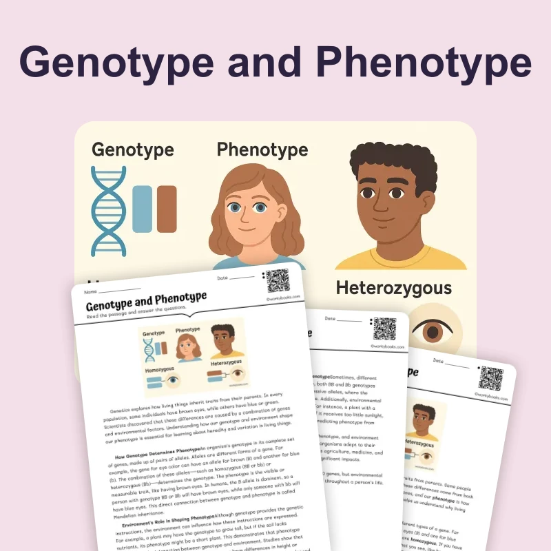 Genotype and Phenotype — science — reading comprehension for Grade 5, Grade 6, Grade 7, Grade 8, page 1 of 4