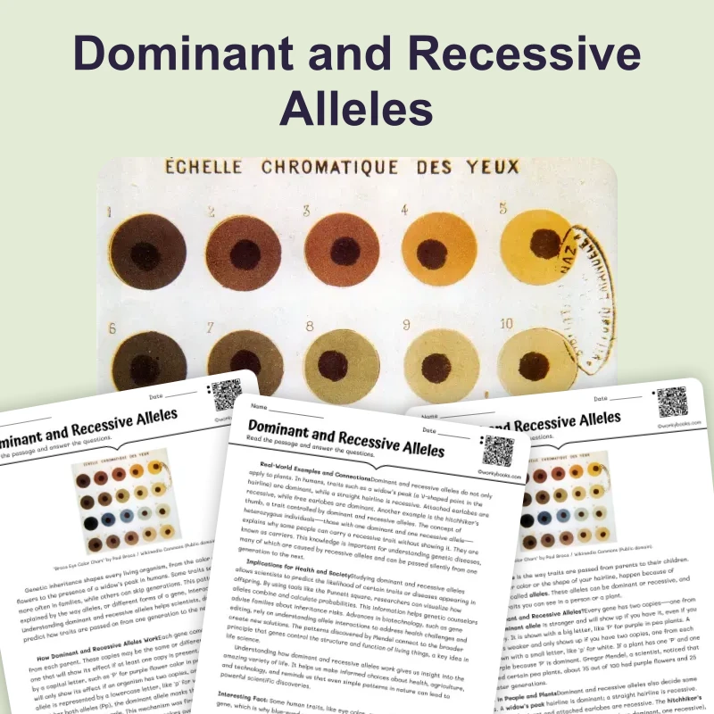 Dominant and Recessive Alleles — science — reading comprehension for Grade 5, Grade 6, Grade 7, Grade 8, page 1 of 4