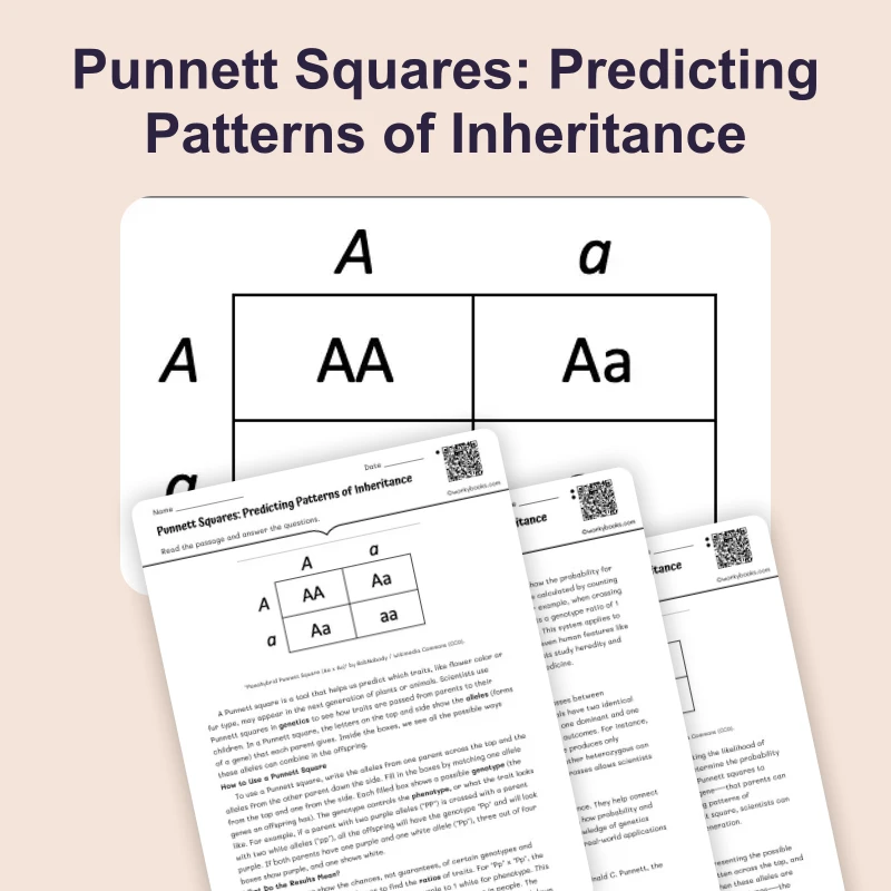 What Are Punnett Squares — science — reading comprehension for Grade 5, Grade 6, Grade 7, Grade 8, page 1 of 4