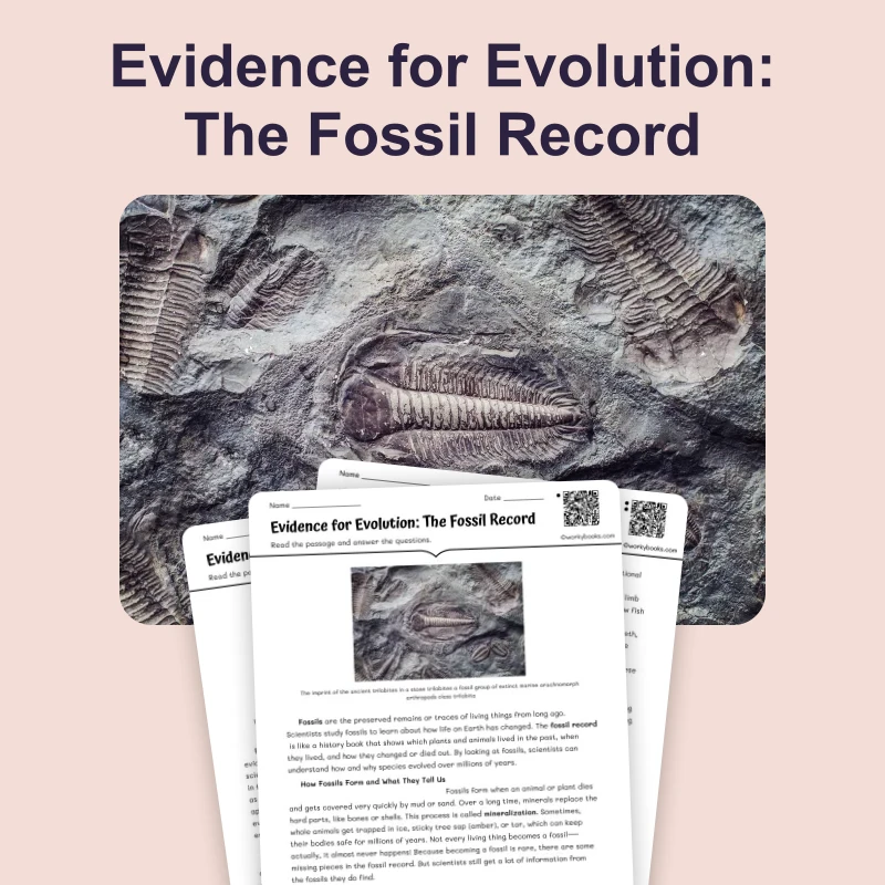 How Do Fossils Show Evolution — science — reading comprehension for Grade 5, Grade 6, Grade 7, Grade 8, page 1 of 4