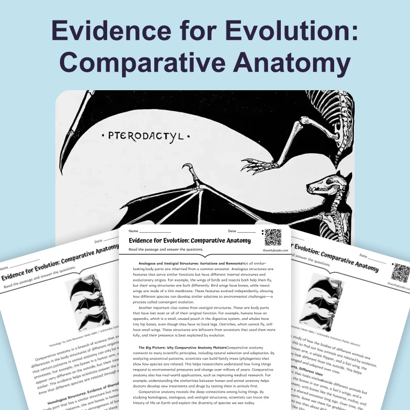 Evidence for Evolution: Comparative Anatomy — science — reading comprehension for Grade 5, Grade 6, Grade 7, Grade 8, page 1 of 4