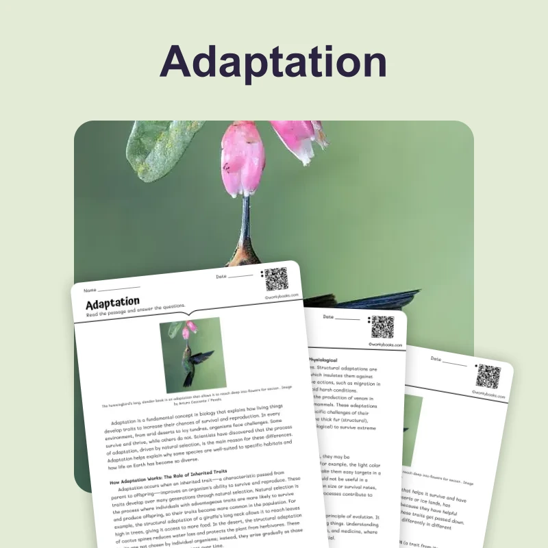 How Adaptation Works — science — reading comprehension for Grade 5, Grade 6, Grade 7, Grade 8, page 1 of 4