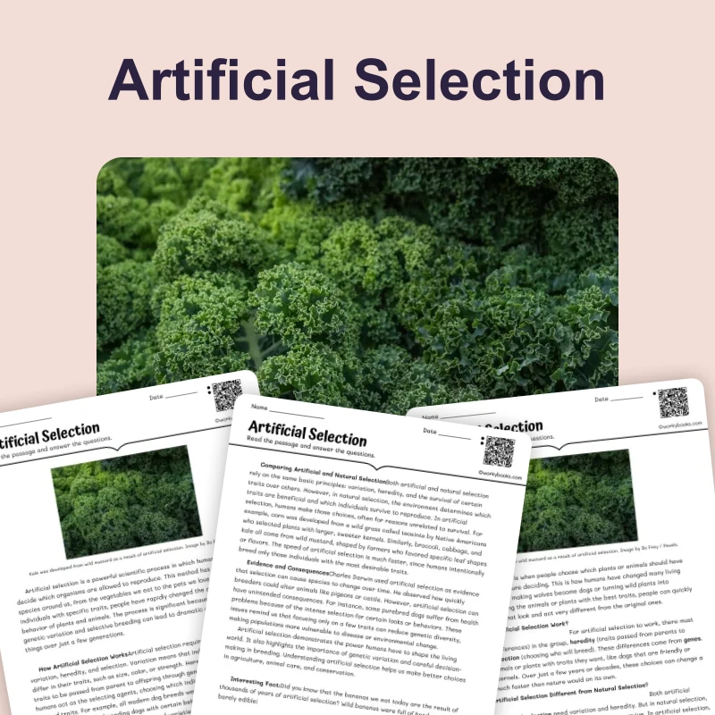 What Is Artificial Selection — science — reading comprehension for Grade 5, Grade 6, Grade 7, Grade 8, page 1 of 4