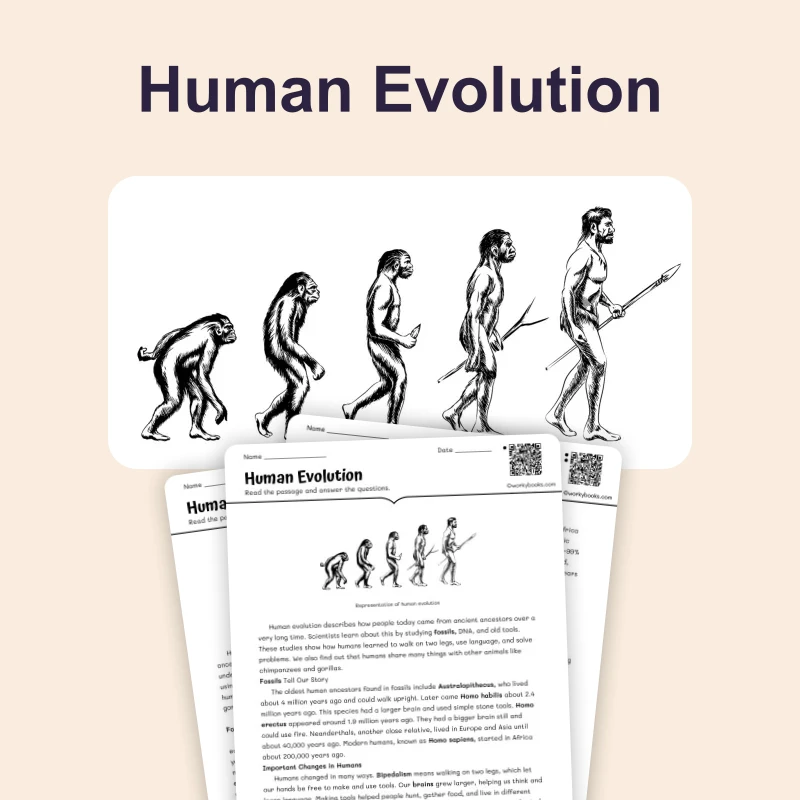 Human Evolution — science — reading comprehension for Grade 5, Grade 6, Grade 7, Grade 8, page 1 of 4