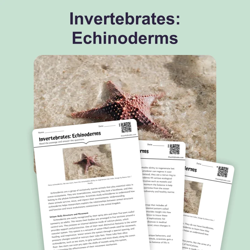 Invertebrates: Echinoderms — science — reading comprehension for Grade 5, Grade 6, Grade 7, Grade 8, page 1 of 4