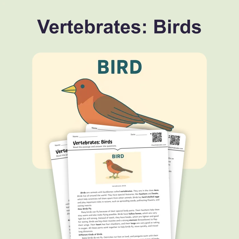 Vertebrates: Birds — science — reading comprehension for Grade 5, Grade 6, Grade 7, Grade 8, page 1 of 4