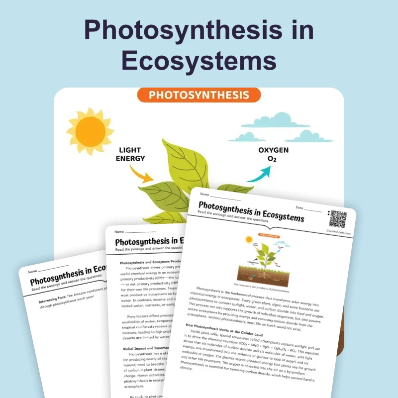 Photosynthesis in Ecosystems — science — reading comprehension for Grade 5, Grade 6, Grade 7, Grade 8, page 1 of 4