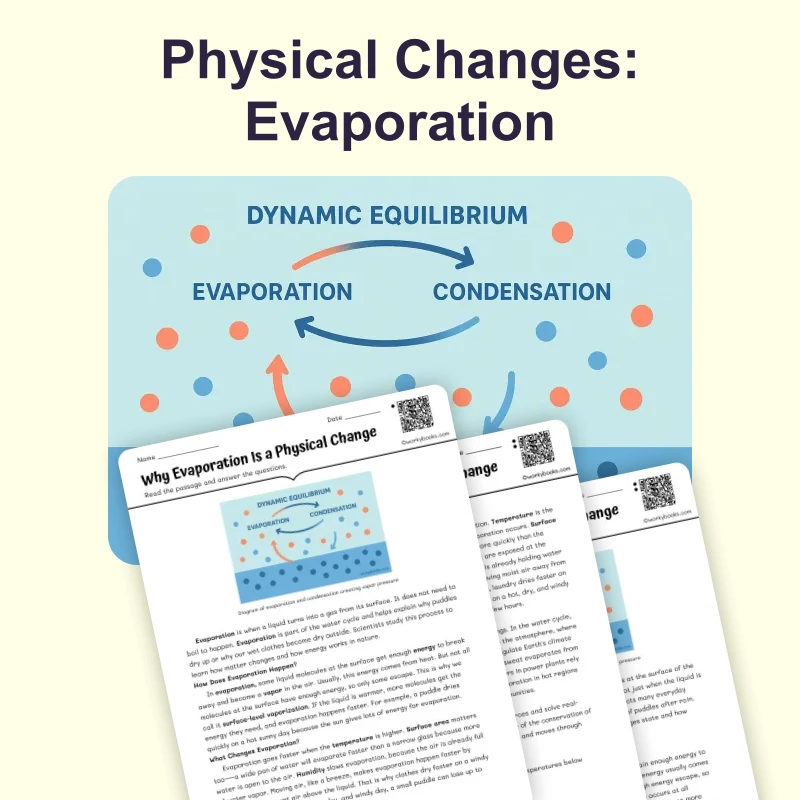 Evaporation as Physical Change — science — reading comprehension for Grade 5, Grade 6, Grade 7, Grade 8, page 1 of 4