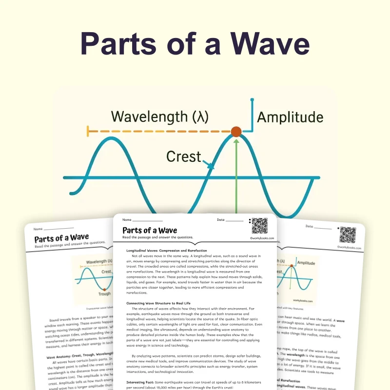 Parts of Wave — science — reading comprehension for Grade 5, Grade 6, Grade 7, Grade 8, page 1 of 4