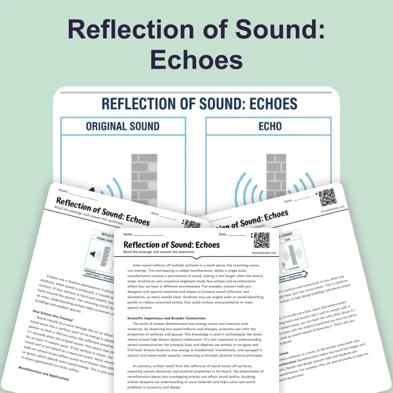 Reflection of Sound: Echoes — science — reading comprehension for Grade 5, Grade 6, Grade 7, Grade 8, page 1 of 4
