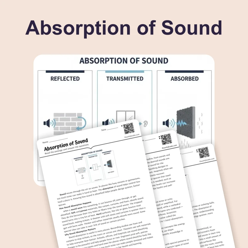 Absorption of Sound — science — reading comprehension for Grade 5, Grade 6, Grade 7, Grade 8, page 1 of 4