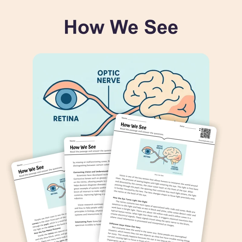 How We See — science — reading comprehension for Grade 5, Grade 6, Grade 7, Grade 8, page 1 of 4